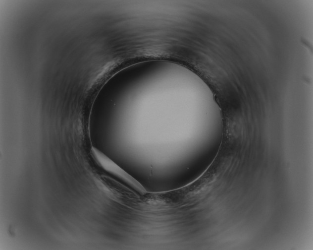 X0000093450256200710121400