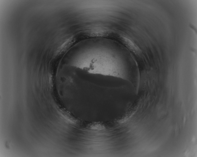 X0000093450258200710121400