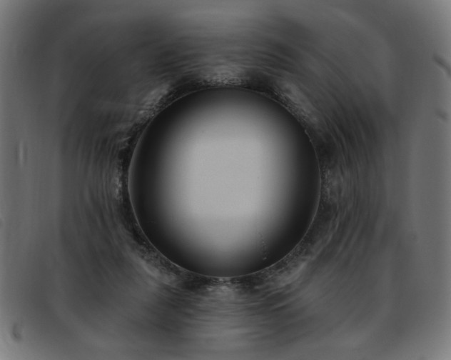 X0000093450259200710121400