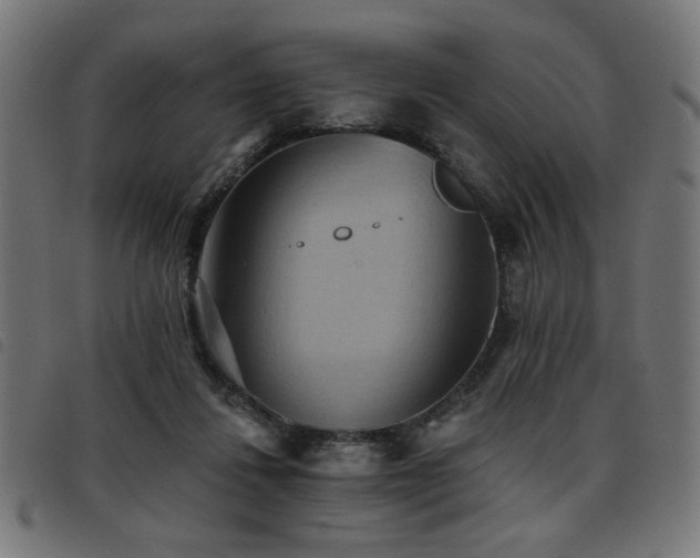 X0000093450260200710121400