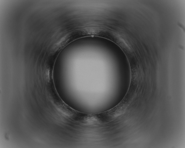 X0000093450262200710121400