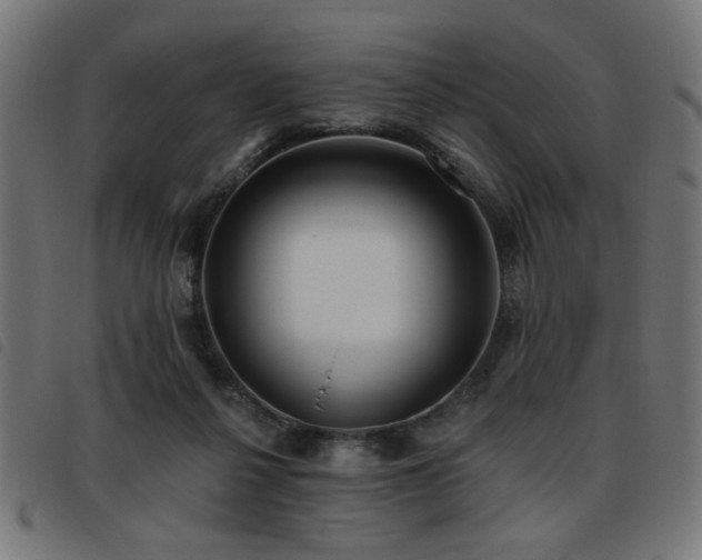 X0000093450264200710121400