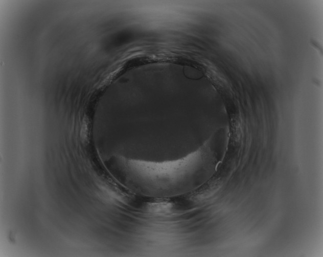 X0000093450266200710121400