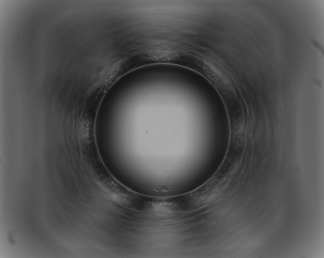 X0000093450268200710121400