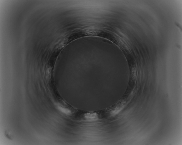 X0000093450271200710121400