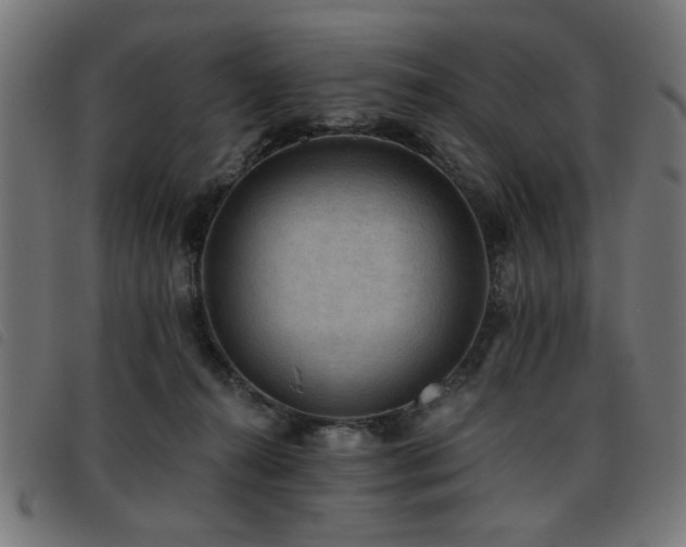 X0000093450272200710121400