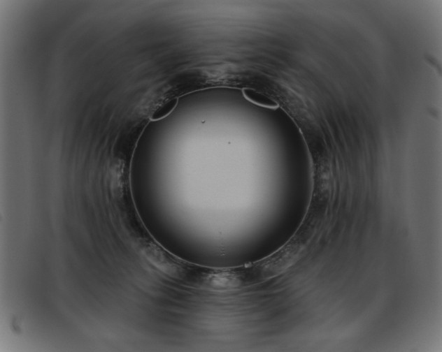 X0000093450275200710121400