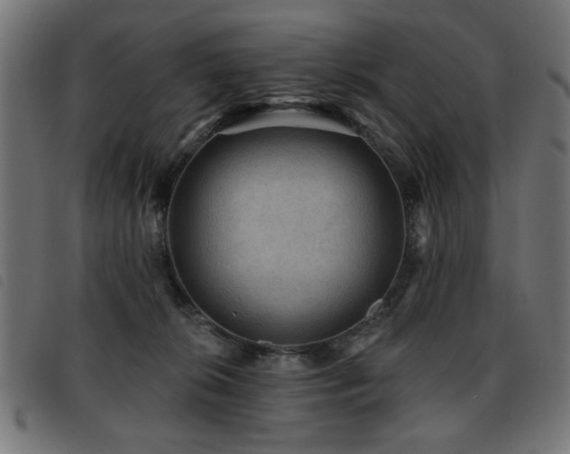 X0000093450276200710121400