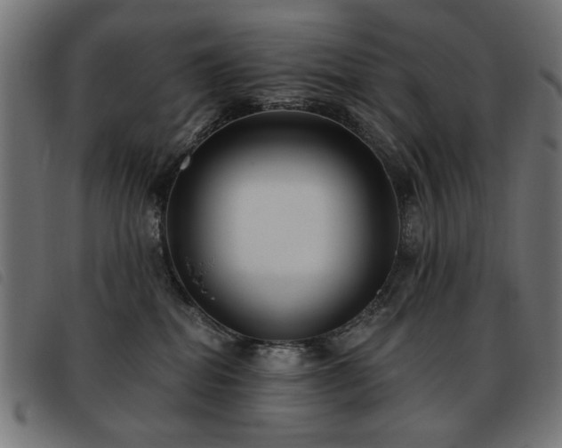 X0000093450282200710121400