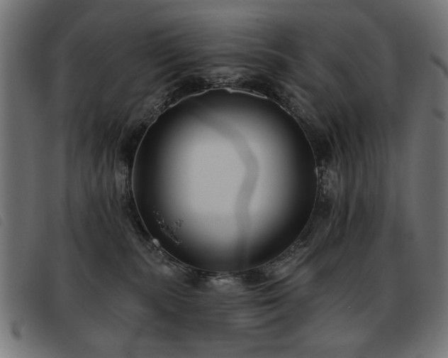 X0000093450283200710121400