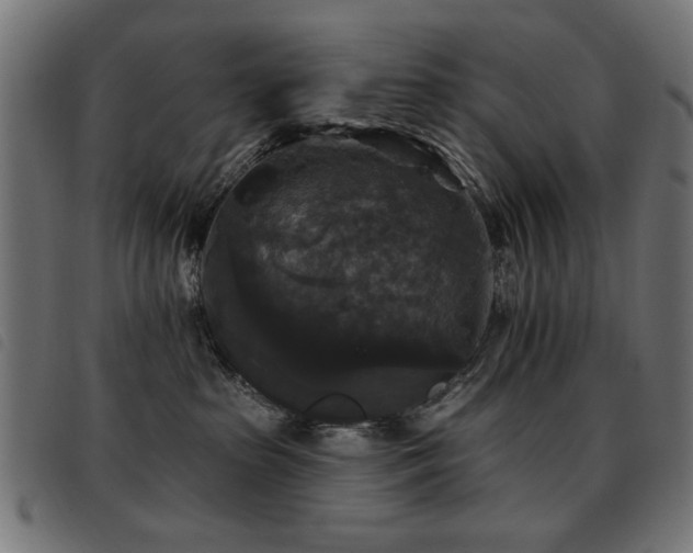 X0000093450285200710121400