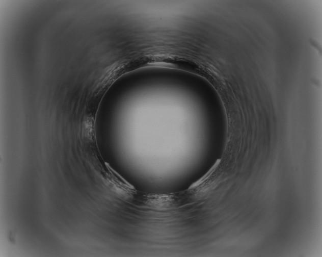 X0000093450288200710121400