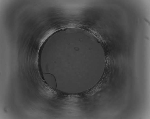 X0000093450292200710121400