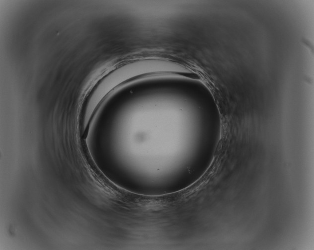 X0000093450293200710121400