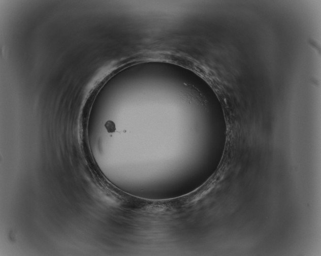 X0000093450294200710121400