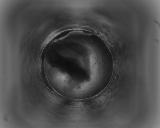 X0000093450295200710121400