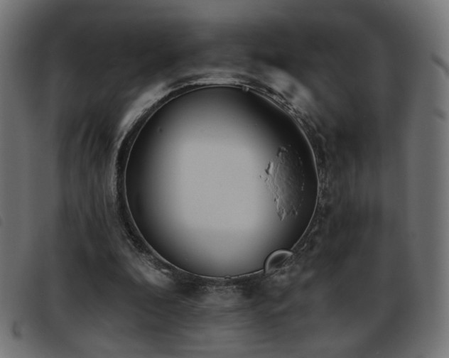 X0000093450296200710121400