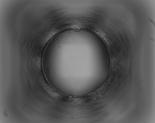 X0000093450297200710121400