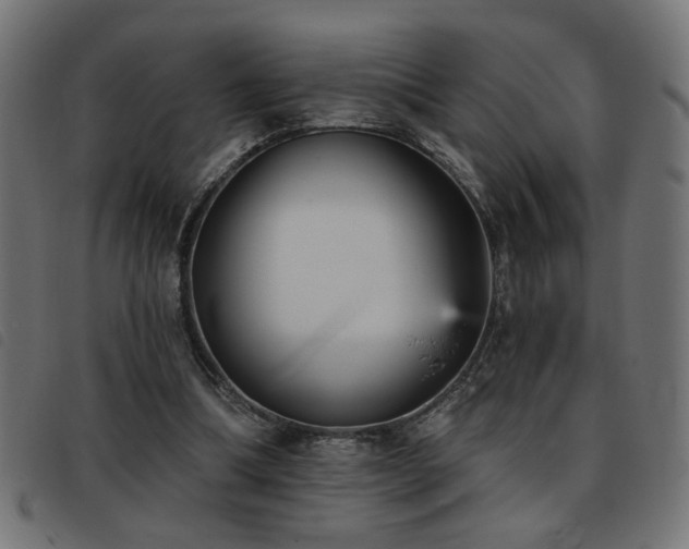 X0000093450298200710121400