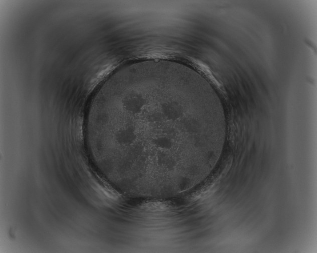 X0000093450299200710121400