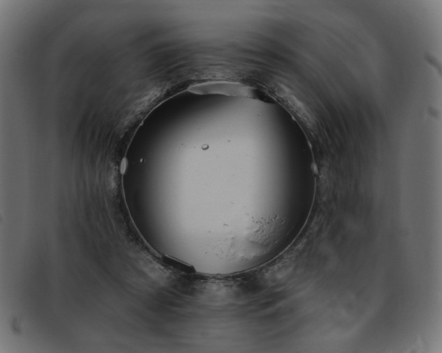 X0000093450305200710121359