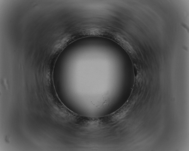 X0000093450306200710121359