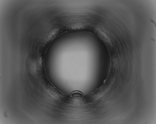 X0000093450308200710121359