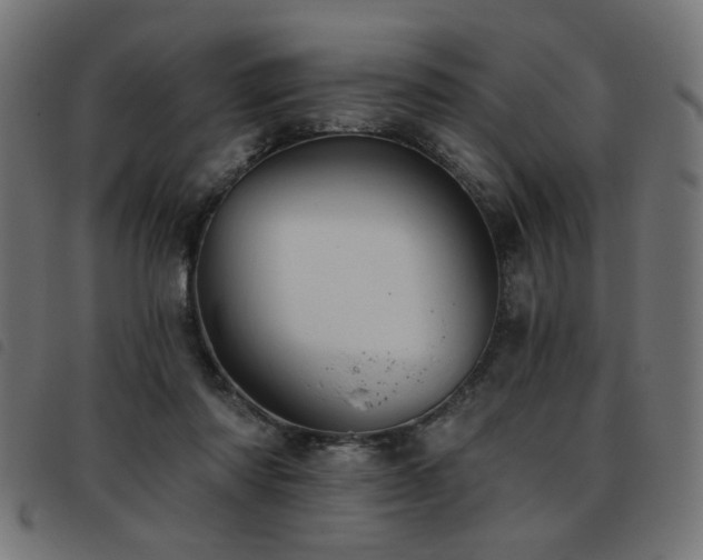 X0000093450310200710121359