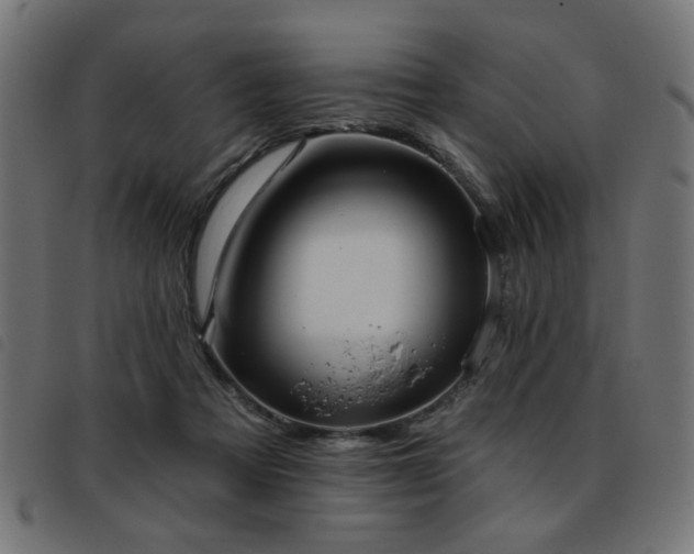 X0000093450313200710121359