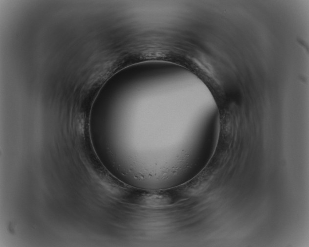 X0000093450315200710121359