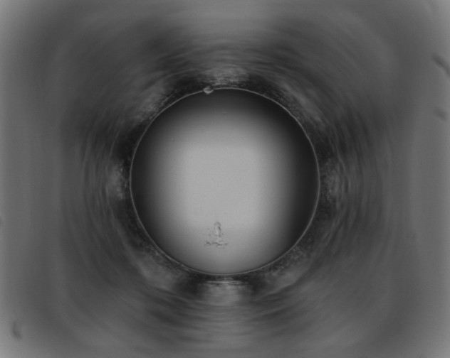X0000093450316200710121359
