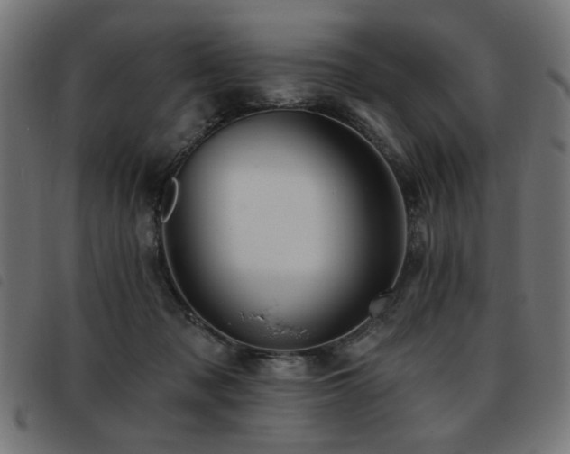X0000093450317200710121359