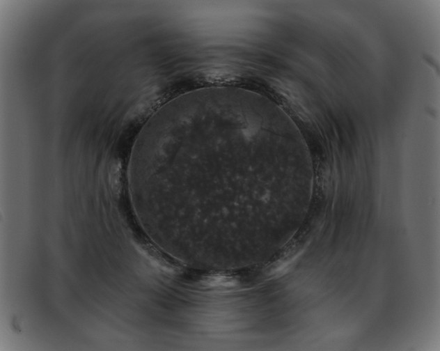 X0000093450319200710121359