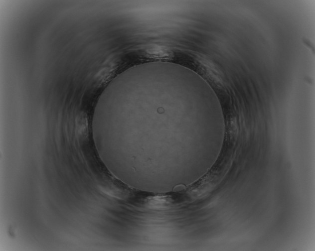 X0000093450320200710121359