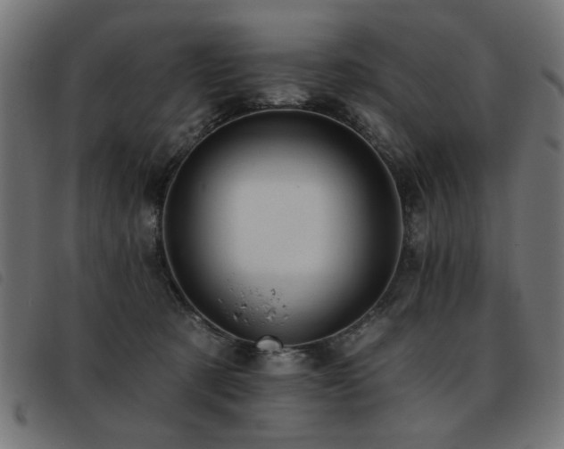 X0000093450321200710121359