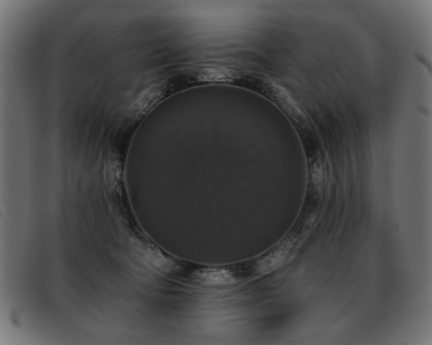 X0000093450322200710121359