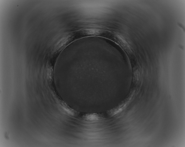 X0000093450325200710121359