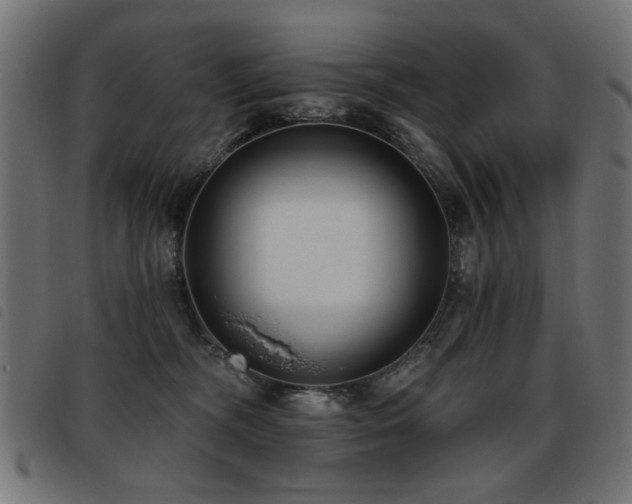 X0000093450326200710121359