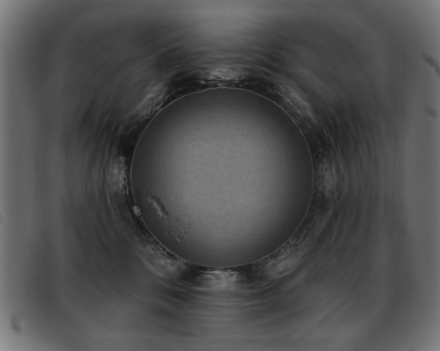 X0000093450328200710121359