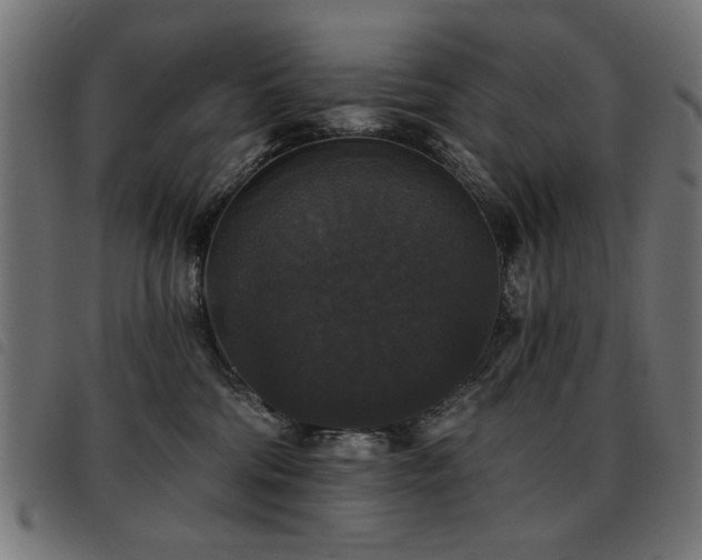 X0000093450330200710121359