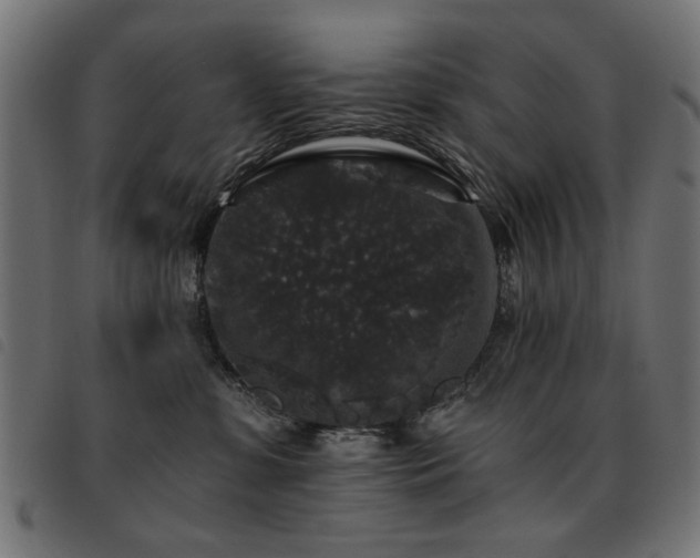 X0000093450331200710121359