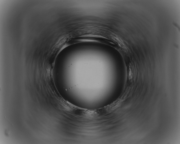 X0000093450333200710121359