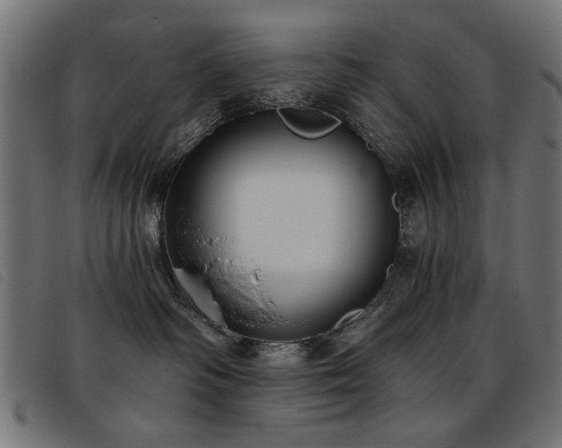 X0000093450334200710121359