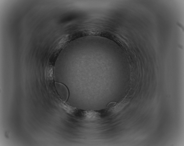 X0000093450336200710121359