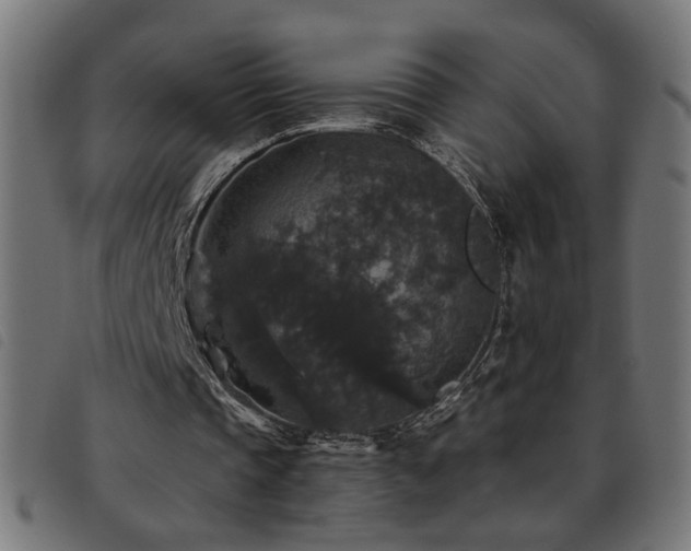 X0000093450337200710121358