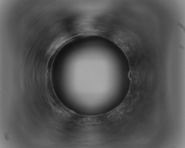 X0000093450338200710121358