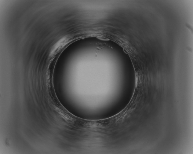 X0000093450339200710121358