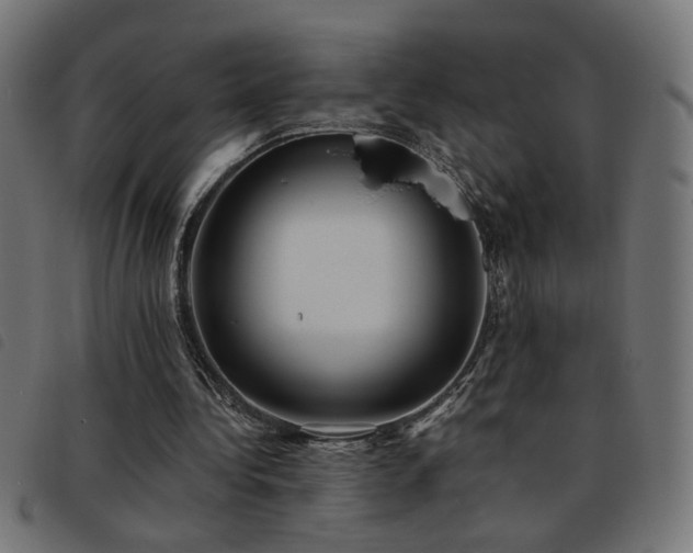 X0000093450340200710121358