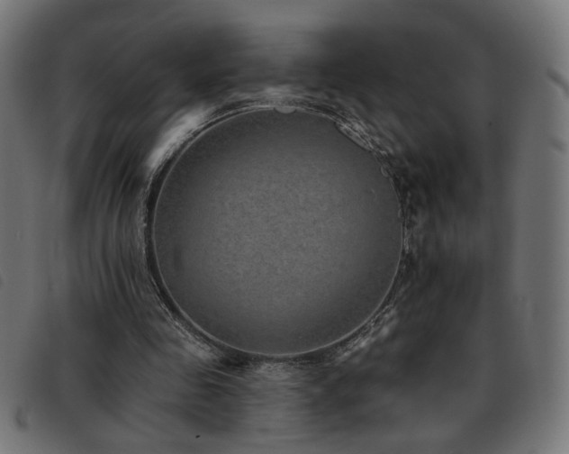 X0000093450341200710121358