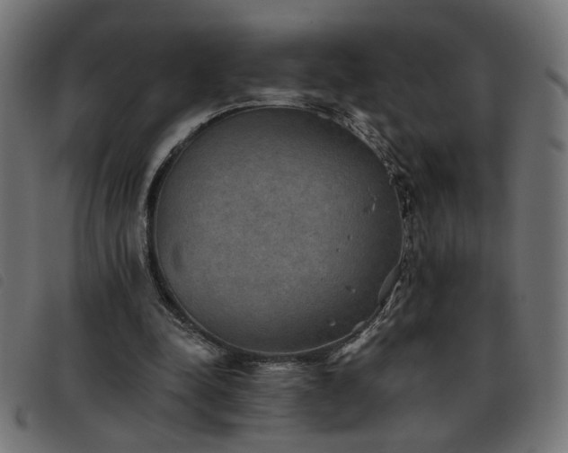X0000093450342200710121358